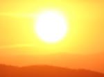 sunny morning